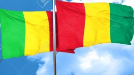 petition-img-163055-fr(1)